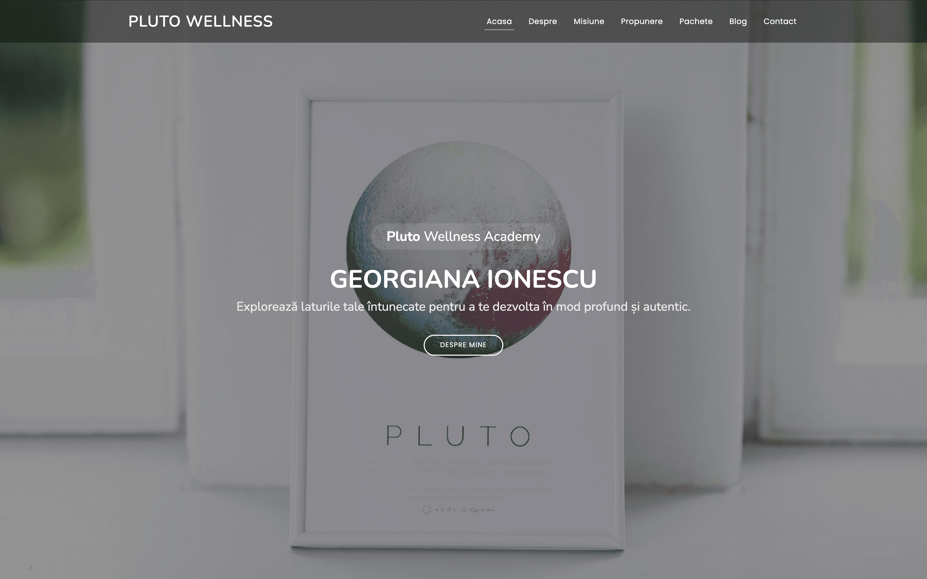 Pluto Wellness Academy