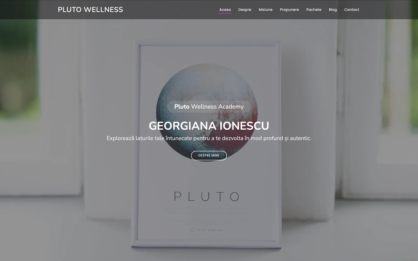 Screenshot: Pluto Wellness Academy — Presentation website