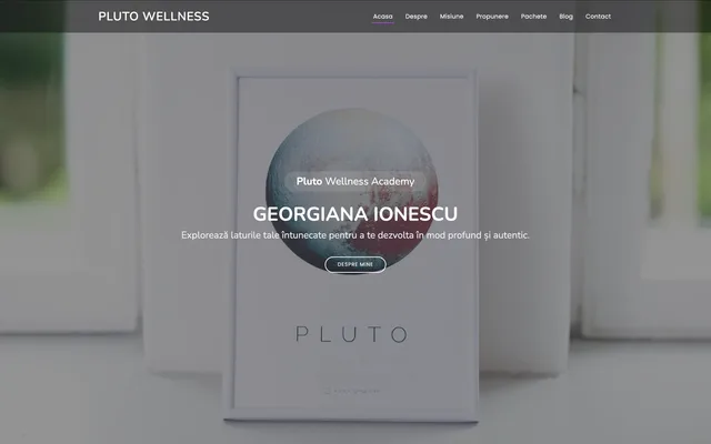 Proiectul anterior: Pluto Wellness Academy